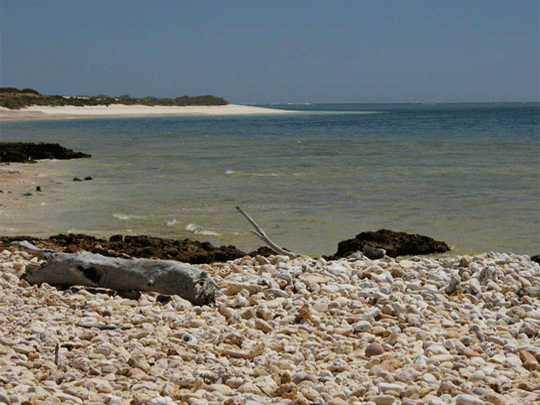 Photo's  Ningaloo area - Exmouth Beach Region supplied by friends