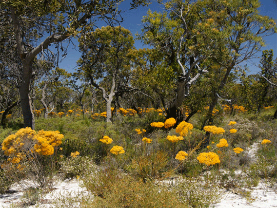 Moore River  National Park holiday 