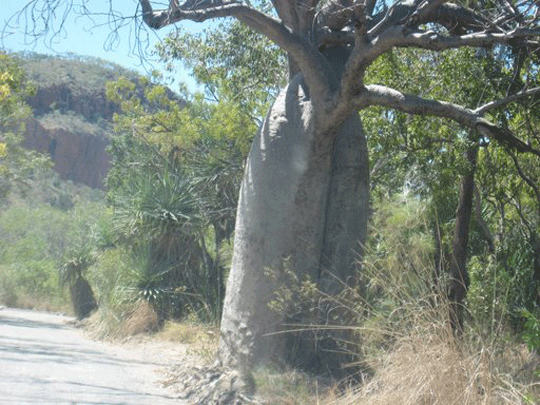elquestro wilderness park