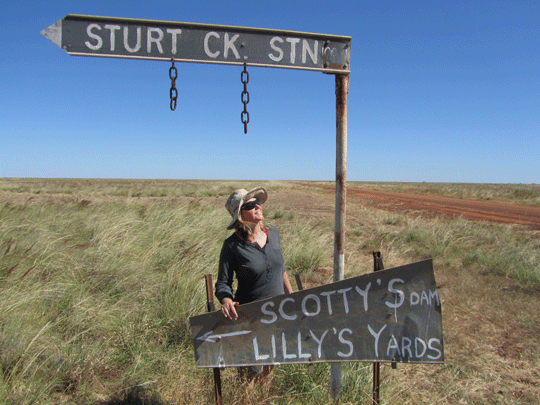 lillys yards sturt-creek station