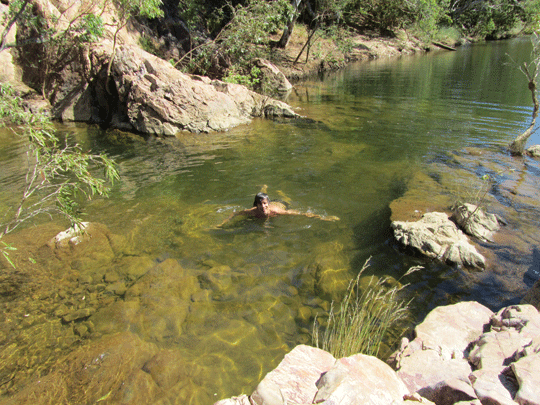 lillys-yards-swim-near-jrspeld-