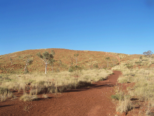 Wolfe Creek Crater NP is a day trip from Halls Creek or a free camp overnight. We recommend 4WD. No fuel available at Balgo or Billiluna communities.